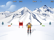 Giant Slalom Game