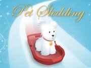 Pet Sledding Game Online