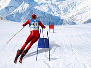 Slalom Ski Simulator Game Online